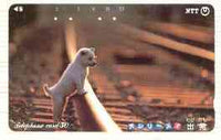 Telephone Card - Japan 50 units phone card showing Dog on Railway Line (card number 290-346)