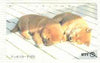 Telephone Card - Japan 105 units phone card showing Two Chow Puppies sleeping on Floorboards (card number 111-056)