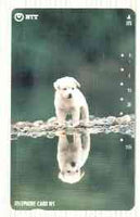 Telephone Card - Japan 105 units phone card showing Puppy Looking at his Reflection (vert card with green background) number 111-067