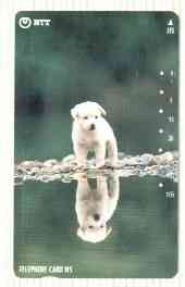Telephone Card - Japan 105 units phone card showing Puppy Looking at his Reflection (vert card with green background) number 111-067