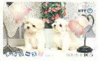 Telephone Card - Japan 105 units phone card showing Two Shihtzu Puppies with Desk Lamps (card number 290-383)
