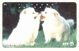 Telephone Card - Japan 105 units phone card showing Two White Sameoyed Puppies in Field (card number 111-074)