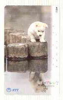 Telephone Card - Japan 105 units phone card showing Puppy on Log Looking at his Reflection (card number 391-074)