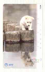 Telephone Card - Japan 105 units phone card showing Puppy on Log Looking at his Reflection (card number 391-074)