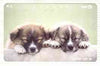Telephone Card - Japan 105 units phone card showing two Puppies asleep (card number 111-025)