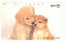 Telephone Card - Japan 105 units phone card showing Golden Retriever & Chow Puppies (card number 111-086)