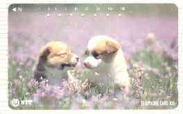 Telephone Card - Japan 105 units phone card showing two Puppies in Field of Purple Flowers (card number 111-059)