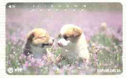 Telephone Card - Japan 105 units phone card showing two Puppies in Field of Purple Flowers (card number 111-059)