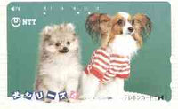 Telephone Card - Japan 50 units phone card showing two Puppies, one wearing red & white striped shirt (card number 290-384)