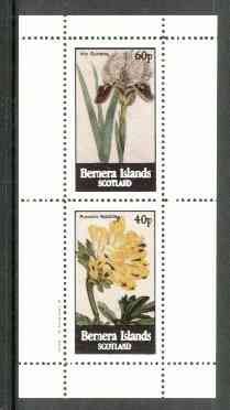 Bernera 1982 Flowers #17 (Iris & Fumaria) perf,set of 2 values (40p & 60p) unmounted mint