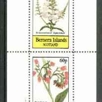 Bernera 1982 Flowers #18 (Dracocephalum & Symphytum) perf,set of 2 values (40p & 60p) unmounted mint