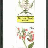 Bernera 1982 Flowers #18 (Dracocephalum & Symphytum) imperf,set of 2 values (40p & 60p) unmounted mint