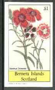 Bernera 1982 Flowers #18 (Dianthus chinensis) imperf souvenir sheet (£1 value) unmounted mint