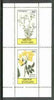 Grunay 1982 Flowers #06 (Linum & Jasminum) perf set of 2 (40p & 60p) unmounted mint