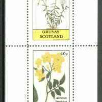Grunay 1982 Flowers #06 (Linum & Jasminum) perf set of 2 (40p & 60p) unmounted mint