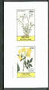 Grunay 1982 Flowers #06 (Linum & Jasminum) imperf set of 2 (40p & 60p) unmounted mint