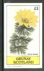 Grunay 1982 Flowers #06 (Adonis vernalis) imperf souvenir sheet (£1 value) unmounted mint