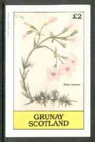 Grunay 1982 Flowers #06 (Phlox setacea) imperf deluxe sheet (£2 value) unmounted mint