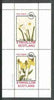 Eynhallow 1982 Flowers #19 (Narcissus & Rudbeckia) perf set of 2 values unmounted mint