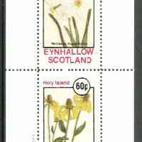 Eynhallow 1982 Flowers #19 (Narcissus & Rudbeckia) perf set of 2 values unmounted mint