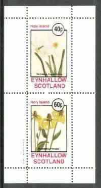 Eynhallow 1982 Flowers #19 (Narcissus & Rudbeckia) perf set of 2 values unmounted mint