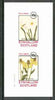 Eynhallow 1982 Flowers #19 (Narcissus & Rudbeckia) imperf set of 2 values unmounted mint