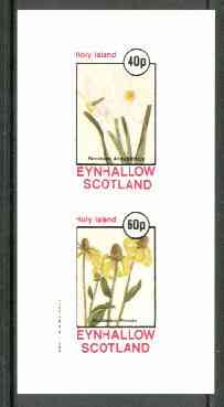 Eynhallow 1982 Flowers #19 (Narcissus & Rudbeckia) imperf set of 2 values unmounted mint