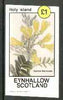 Eynhallow 1982 Flowers #20 (Sophora macrocarpa) imperf souvenir sheet (£1 value) unmounted mint