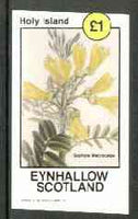 Eynhallow 1982 Flowers #20 (Sophora macrocarpa) imperf souvenir sheet (£1 value) unmounted mint