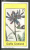 Staffa 1982 Flowers #26 (Senecio speciosus) imperf souvenir sheet (£1 value) unmounted mint