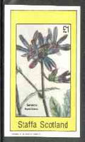 Staffa 1982 Flowers #26 (Senecio speciosus) imperf souvenir sheet (£1 value) unmounted mint