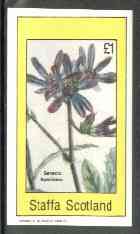 Staffa 1982 Flowers #26 (Senecio speciosus) imperf souvenir sheet (£1 value) unmounted mint