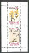 Eynhallow 1982 Flowers #21 (Genista & Viola) perf set of 2 values unmounted mint