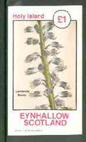 Eynhallow 1982 Flowers #21 (Lachenalia bicolor) imperf souvenir sheet (£1 value) unmounted mint