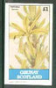Grunay 1982 Flowers #07 (Asphodelus tauricus) imperf souvenir sheet (£1 value) unmounted mint