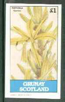 Grunay 1982 Flowers #07 (Asphodelus tauricus) imperf souvenir sheet (£1 value) unmounted mint