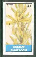 Grunay 1982 Flowers #07 (Asphodelus tauricus) imperf souvenir sheet (£1 value) unmounted mint