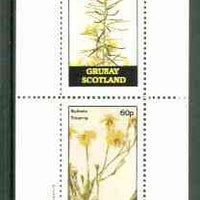 Grunay 1982 Flowers #08 (Cyclopia & Euthalis) perf set of 2 (40p & 60p) unmounted mint