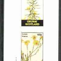 Grunay 1982 Flowers #08 (Cyclopia & Euthalis) imperf set of 2 (40p & 60p) unmounted mint