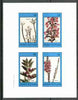 Grunay 1982 Flowers #09 (Diosma, Erica x 2 & Hallia) perf set of 4 unmounted mint