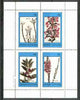 Grunay 1982 Flowers #09 (Diosma, Erica x 2 & Hallia) imperf set of 4 unmounted mint