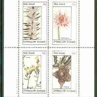 Eynhallow 1982 Flowers #22 (Diosma, Elichrysum, Linaria & Stapelia) perf set of 4 values unmounted mint