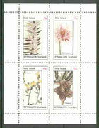 Eynhallow 1982 Flowers #22 (Diosma, Elichrysum, Linaria & Stapelia) perf set of 4 values unmounted mint