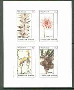 Eynhallow 1982 Flowers #22 (Diosma, Elichrysum, Linaria & Stapelia) imperf set of 4 values unmounted mint