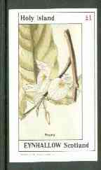 Eynhallow 1982 Flowers #22 (Baphia) imperf souvenir sheet (£1 value) unmounted mint