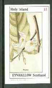 Eynhallow 1982 Flowers #22 (Baphia) imperf souvenir sheet (£1 value) unmounted mint