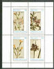 Eynhallow 1982 Flowers #23 (Rhexia, Lasiopetalum, Rhipsalis & Tradescantia) perf set of 4 values unmounted mint