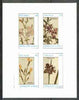Eynhallow 1982 Flowers #23 (Rhexia, Lasiopetalum, Rhipsalis & Tradescantia) imperf set of 4 values unmounted mint