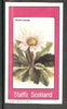 Staffa 1982 Flowers #27 (Arnica crenata) imperf souvenir sheet (£1 value) unmounted mint