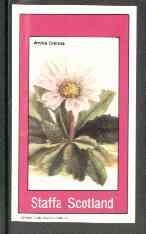 Staffa 1982 Flowers #27 (Arnica crenata) imperf souvenir sheet (£1 value) unmounted mint